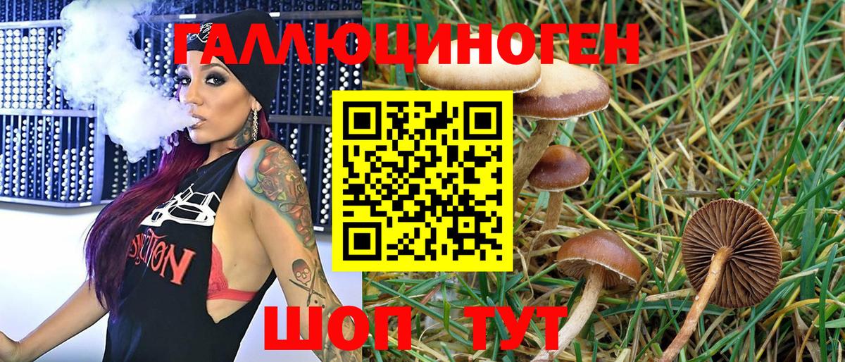 Галлюциногенные грибы Psilocybe Иркутск