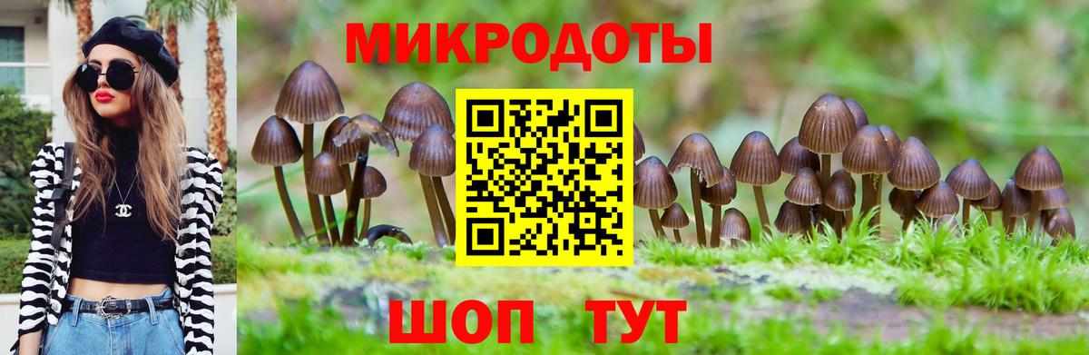 Иркутск  Псилоцибиновые грибы Cubensis  наркотики  Псилоцибиновые грибы ЛСД  Вход с VPN 